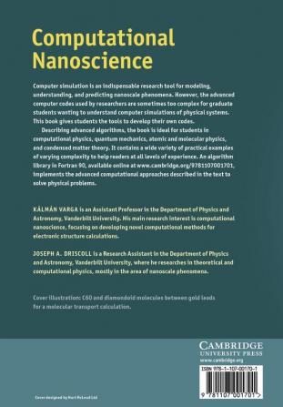 Computational Nanoscience