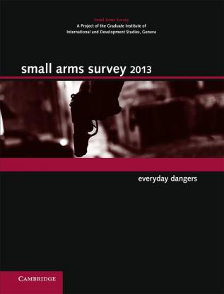 Small Arms Survey 2013