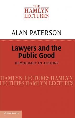 Lawyers and the Public Good