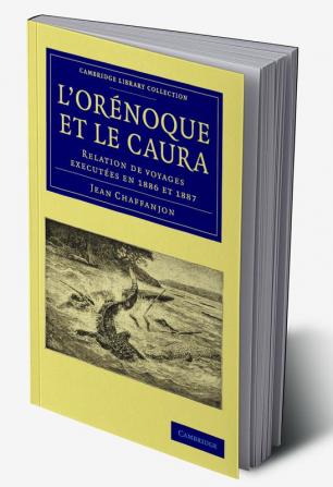L'Or Noque Et Le Caura