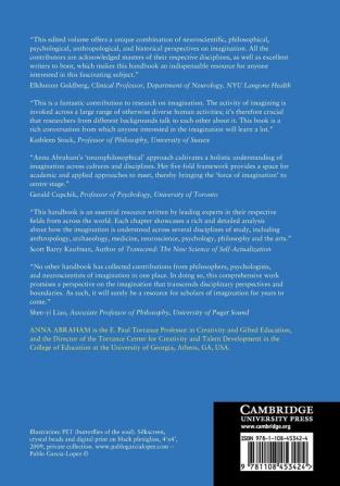 The Cambridge Handbook of the Imagination (Cambridge Handbooks in Psychology)