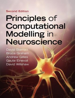 Principles of Computational Modelling in Neuroscience