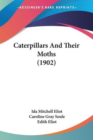 Caterpillars and Their Moths