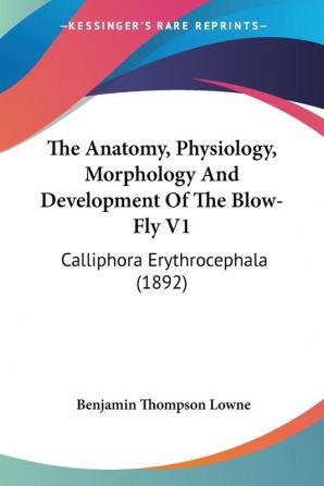 The Anatomy Physiology Morphology And Development Of The Blow-Fly V1