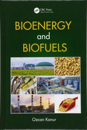 Bioenergy and Biofuels