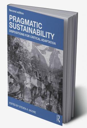 Pragmatic Sustainability