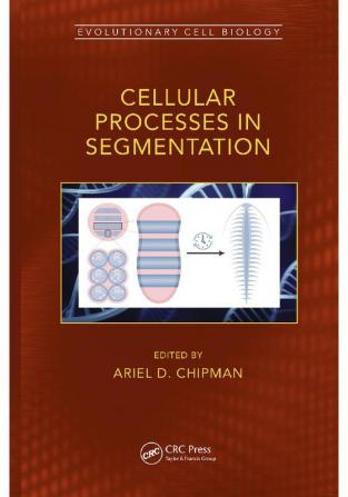 Cellular Processes in Segmentation