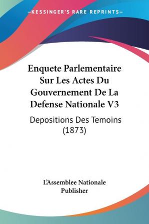 Enquete Parlementaire Sur Les Actes Du Gouvernement De La Defense Nationale V3: Depositions Des Temoins (1873)