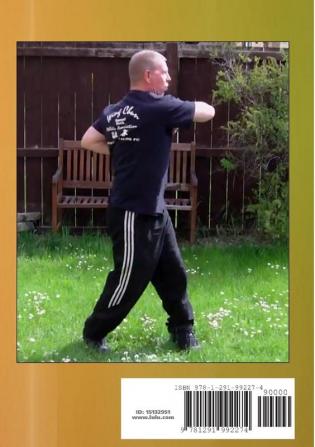 Wing Chun - the Brutality of Biu Jee - Hse