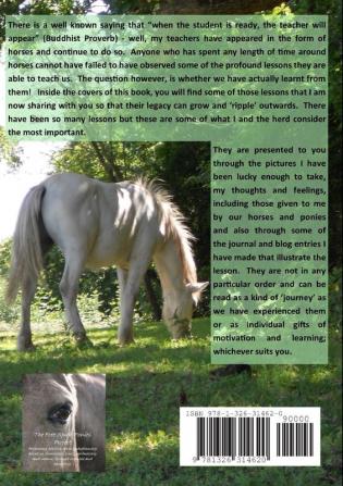 MY HORSE MY TEACHER MY FRIEND   A Collection Of Life Lessons Observations & Reflections From A Life With Horses.  Volume 1