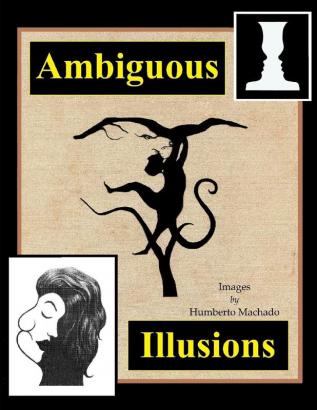 Ambiguous Illusions