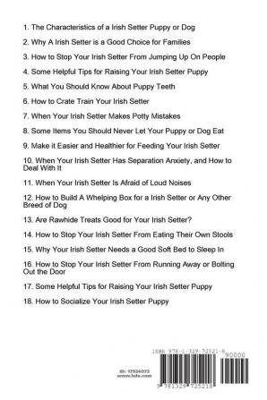 How to Train and Raise a Irish Setter Puppy or Dog with Good Behavior