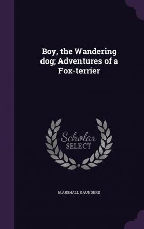 Boy the Wandering Dog; Adventures of a Fox-Terrier