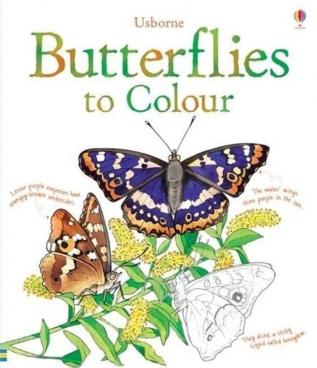 BUTTERFLIES TO COLOUR