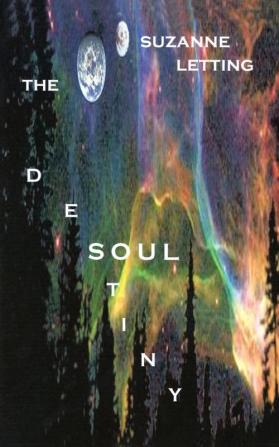 The Destiny Soul