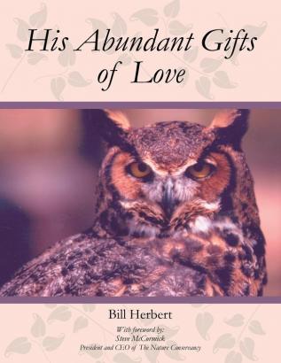 His Abundant Gifts of Love