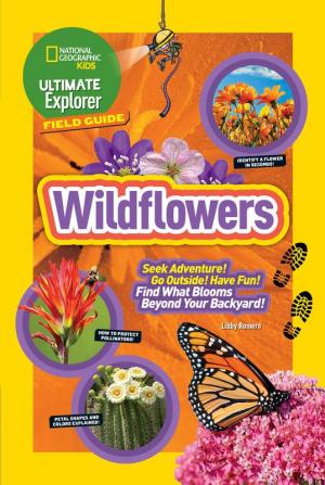 Ultimate Explorer Field Guide: Wildflowers