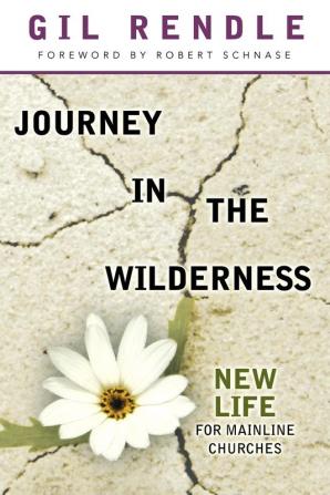 Journey in the Wilderness: New Life for Mainline Churches