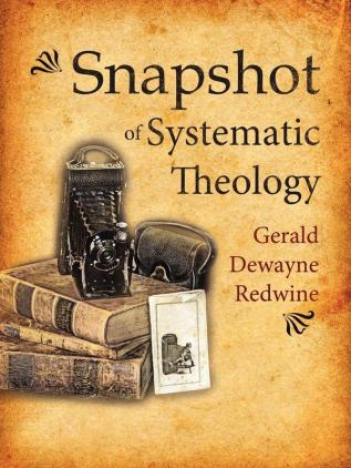 Snapshot of Systematic Theology