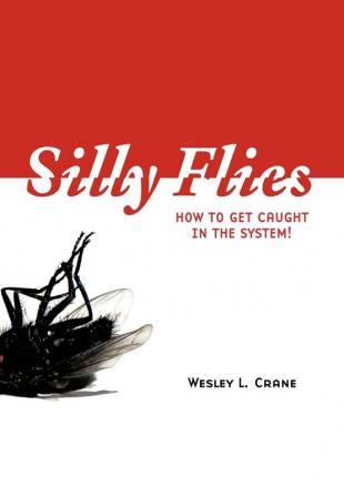 Silly Flies