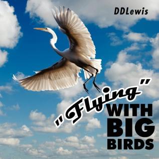 "Flying" with Big Birds