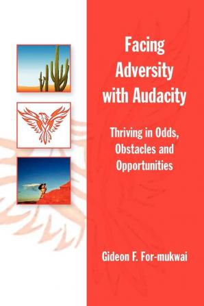 Facing Adversity with Audacity