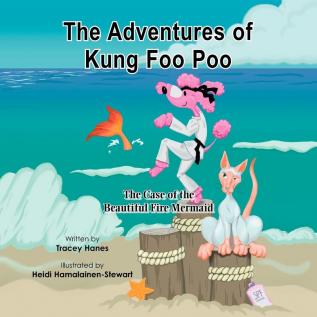 The Adventures of Kung Foo Poo