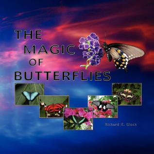 The Magic of Butterflies