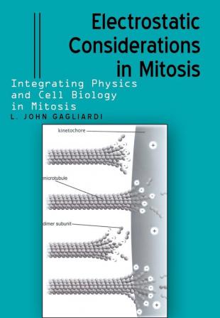 Electrostatic Considerations in Mitosis