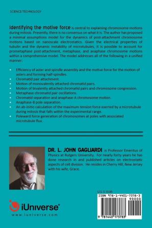 Electrostatic Considerations in Mitosis