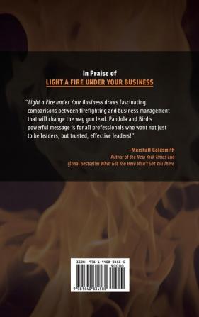 Light a Fire under Your Business: How to Build a Class 1 Corporate Culture through Inspirational Leadership