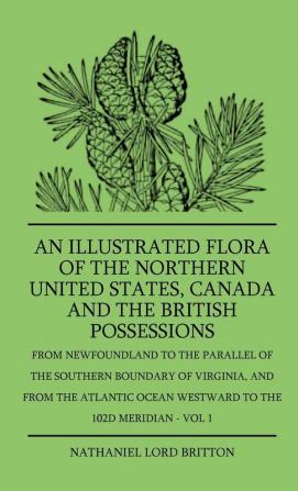 An Illustrated Flora Of The Northern United States Canada And The British Possessions - From Newfoundland To The Parallel Of The Southern Boundary Of ... Ocean Westward To The 102D Meridian - Vol 1