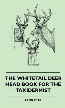 The Whitetail Deer Head Book For The Taxidermist