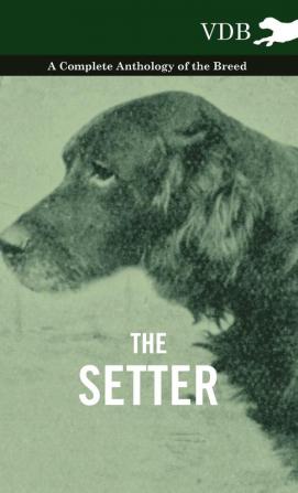 The Setter - A Complete Anthology of the Breed