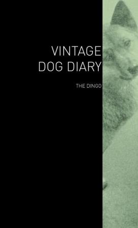 The Vintage Dog Diary - The Dingo