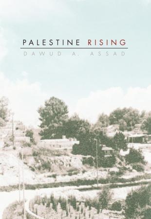 Palestine Rising