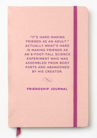 Friendship (Cheeky Classics Journal #3)