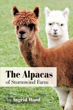 The Alpacas of Stormwind Farm