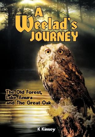 A Weelad's Journey