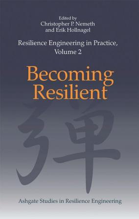 Resilience Engineering in Practice Volume 2