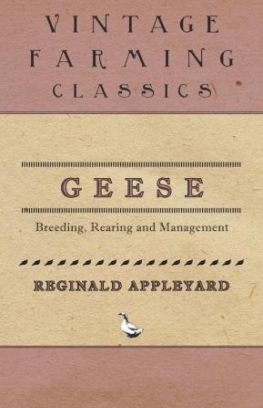 Geese - Breeding Rearing and Management