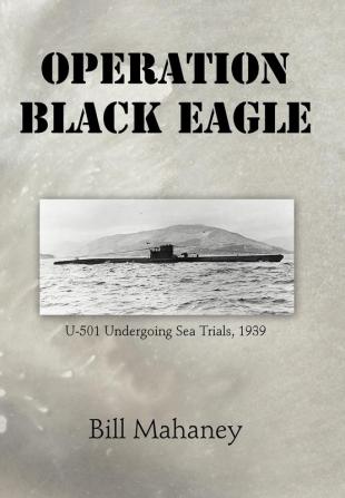 Operation Black Eagle