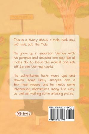 The Fairly Amazing Adventures of Mole: Children's Story