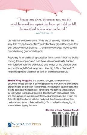 How Big Is Your Umbrella: Weathering the Storms of Life Second Edition