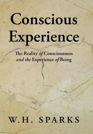 Conscious Experience