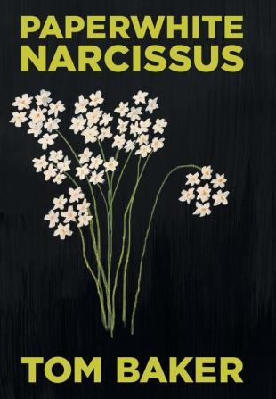 Paperwhite Narcissus