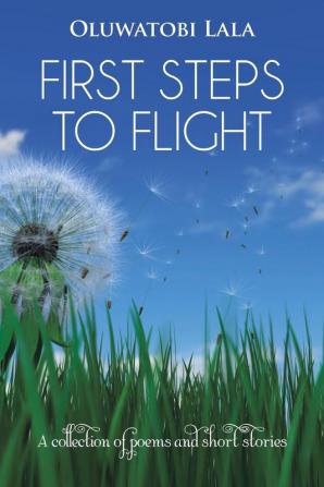 First Steps to Flight