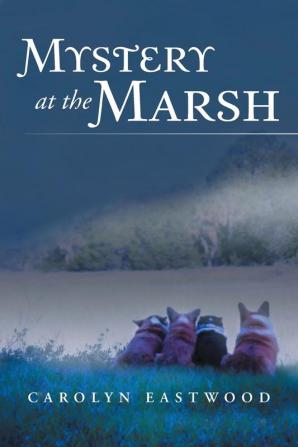 Mystery at the Marsh