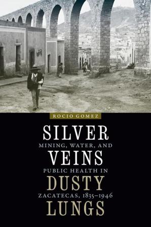 Silver Veins Dusty Lungs: Mining Water and Public Health in Zacatecas 1835–1946 (The Mexican Experience)