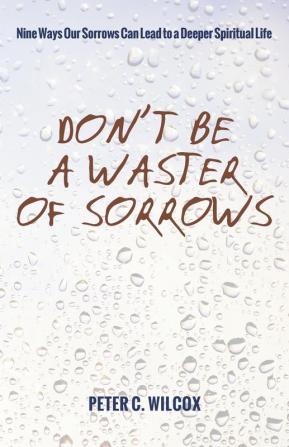 Don't Be a Waster of Sorrows: Nine Ways Our Sorrows Can Lead to a Deeper Spiritual Life